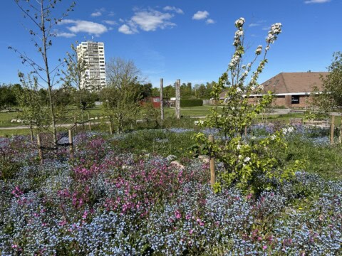 Gåtur i lokalområdet