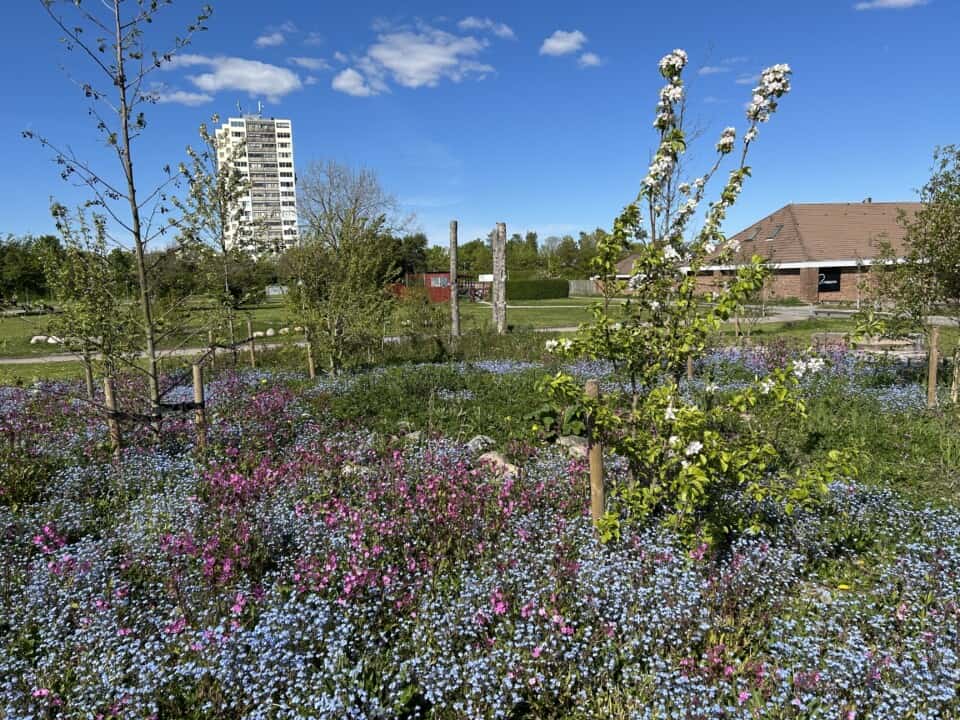 Gåtur i lokalområdet